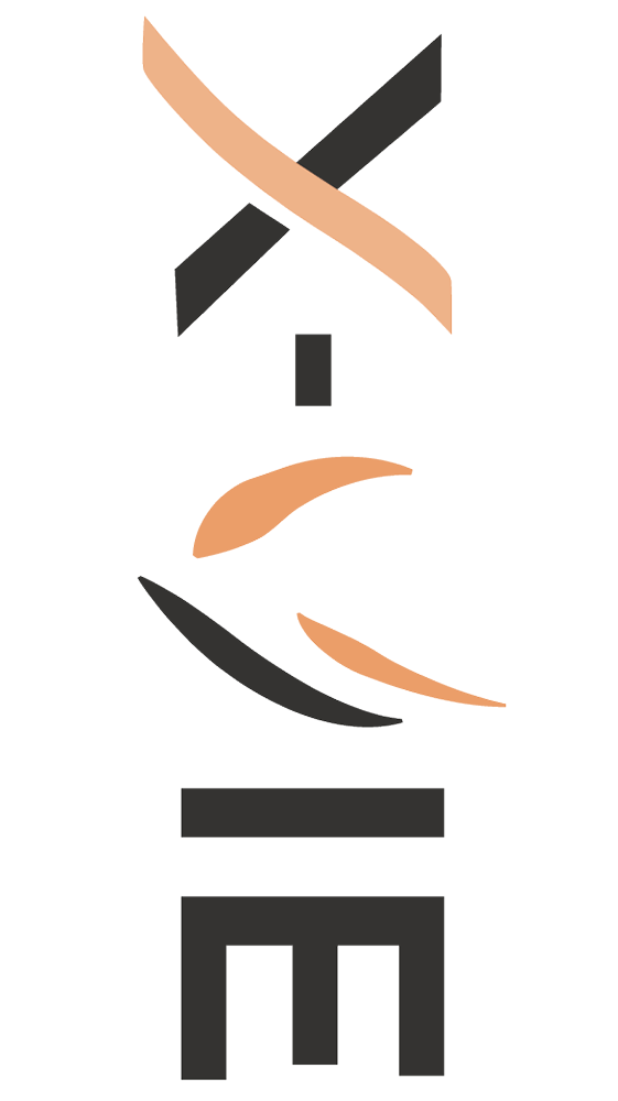 X-VIE WORKS