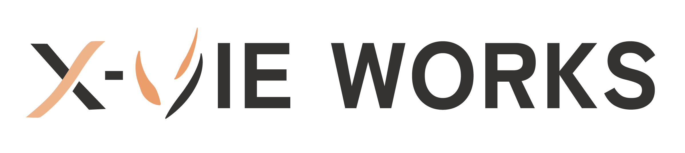 X-VIE WORKS